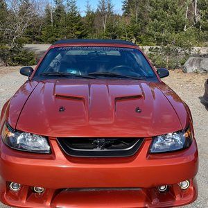 Meet your Posher, Anthony